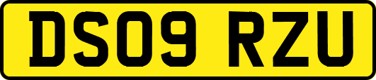 DS09RZU
