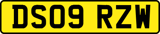 DS09RZW