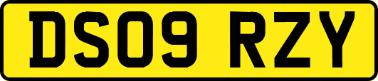 DS09RZY