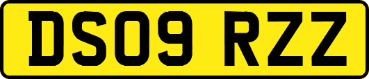 DS09RZZ