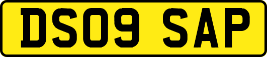 DS09SAP