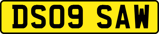 DS09SAW