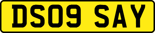 DS09SAY