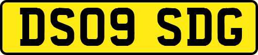 DS09SDG