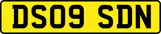 DS09SDN