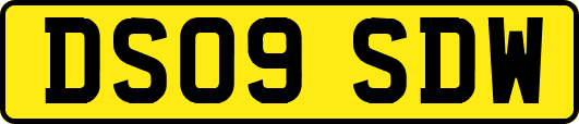DS09SDW