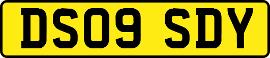 DS09SDY