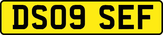 DS09SEF