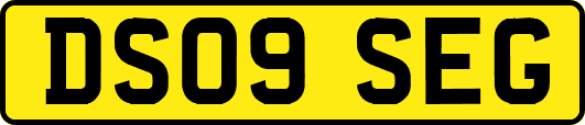 DS09SEG