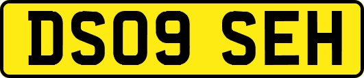 DS09SEH