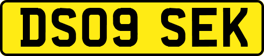 DS09SEK