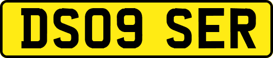 DS09SER