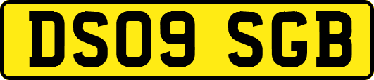 DS09SGB