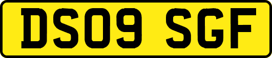 DS09SGF