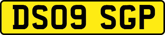 DS09SGP