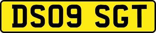 DS09SGT