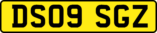 DS09SGZ
