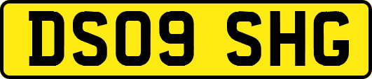 DS09SHG