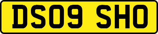 DS09SHO