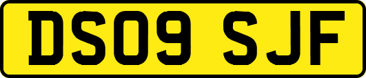 DS09SJF