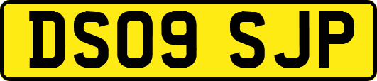 DS09SJP