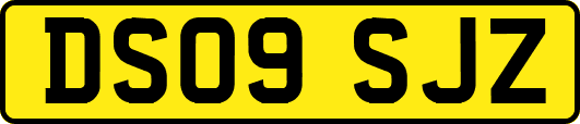 DS09SJZ