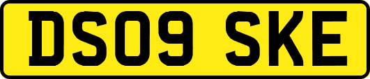 DS09SKE