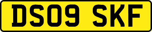 DS09SKF