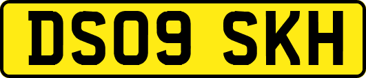 DS09SKH