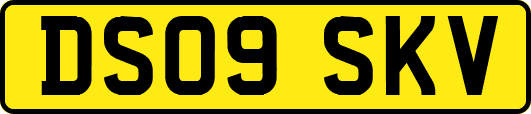 DS09SKV