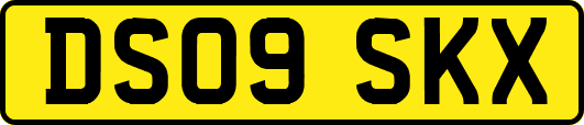 DS09SKX