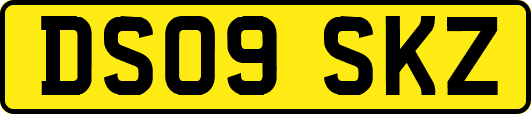 DS09SKZ