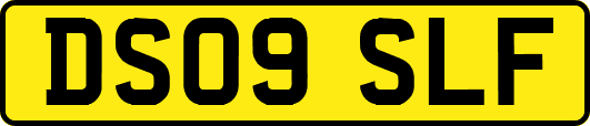 DS09SLF