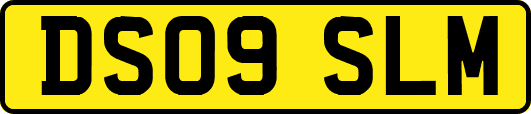 DS09SLM