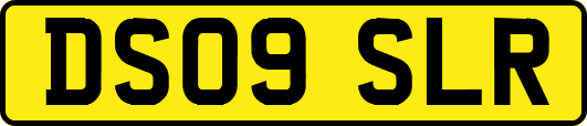 DS09SLR