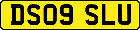 DS09SLU
