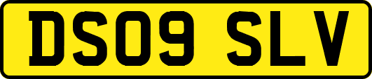 DS09SLV