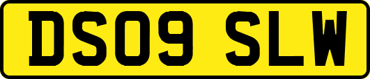 DS09SLW