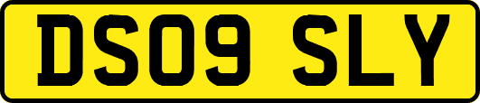DS09SLY
