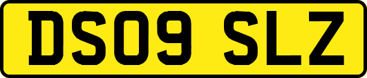 DS09SLZ