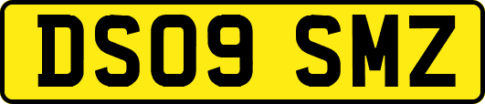 DS09SMZ