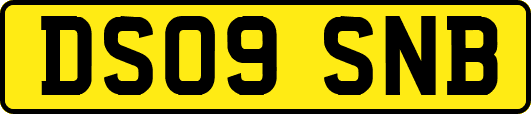 DS09SNB