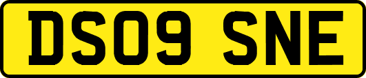 DS09SNE