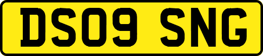 DS09SNG