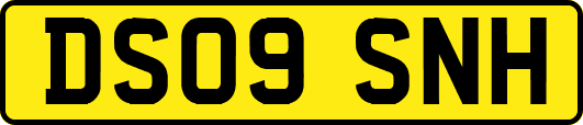 DS09SNH