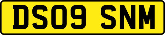 DS09SNM