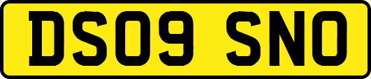 DS09SNO