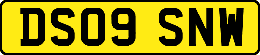 DS09SNW