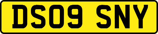 DS09SNY