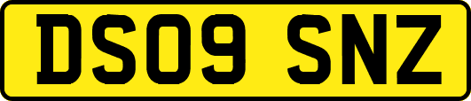 DS09SNZ